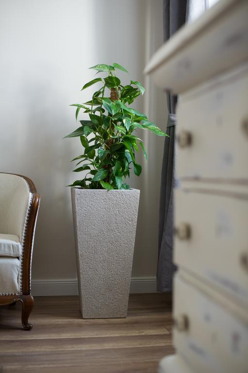 Bródy Apartman Eger Kültér fotó